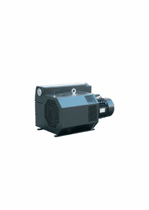 Sliding vane rotary vacuum pumps